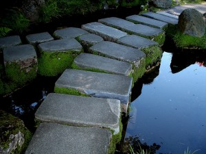Image from Maria Keays on Flickr, Creative Commons attribution