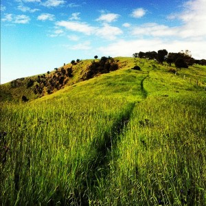 finding my path by rhys moult on flickr, creative commons attribution