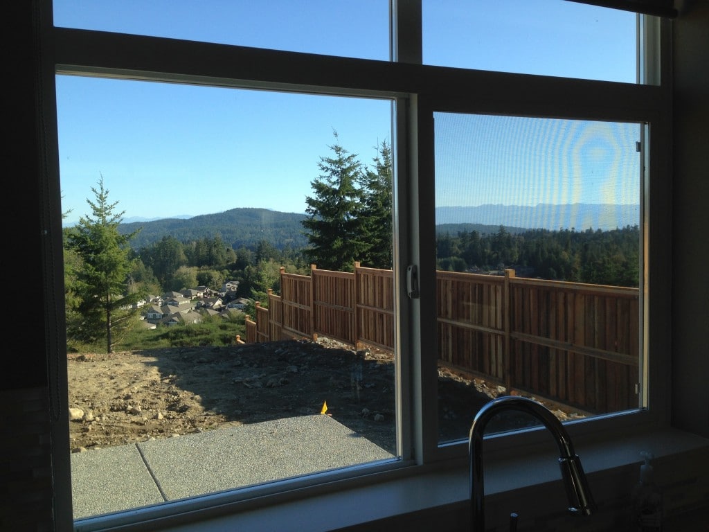 the new view from my kitchen window (though we now have grass)
