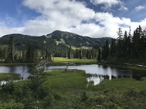A vista at Strathcona park