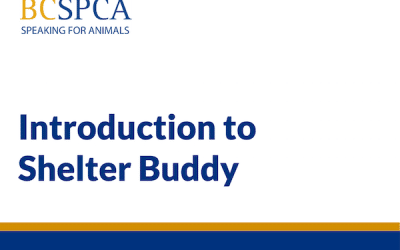 E-learning course example: Introduction to Shelter Buddy