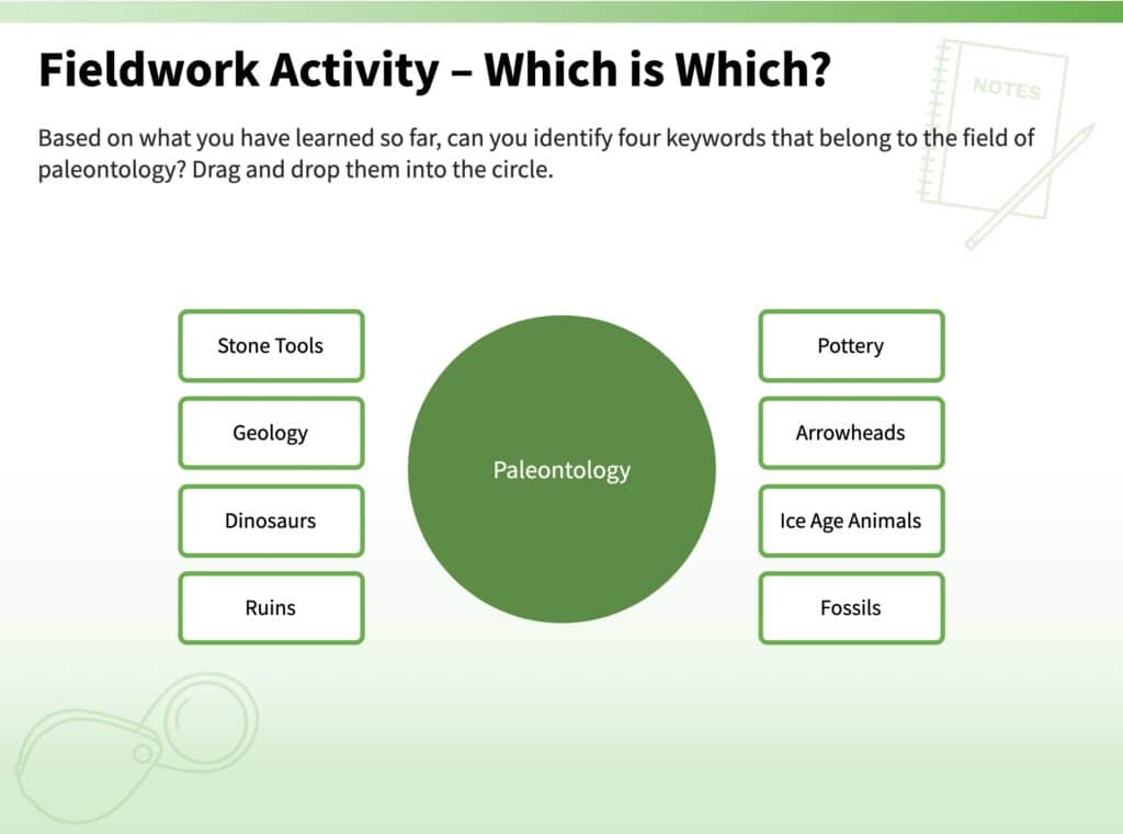 Slide titled "Fieldwork Activity - Which is Which?"