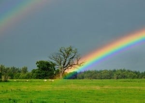 arainbow by rod trevaskus, available at http://www.geograph.org.uk/photo/962472