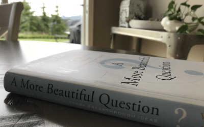 How might we use questioning to be better facilitators of learning?