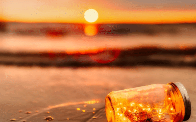 As the sun sets on 2019…a year in review